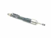 Düsenstöcke BMW 3er Gran Turismo (F34) 13647639994