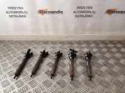 Einspritzventil Set VOLVO V70 III (BW) 2.4 D 0445116