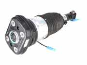 Stoßdämpfer hinten rechts BMW X6(G06) (G06, F96) xDrive 40 i 6869038