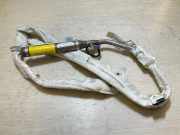 SRS Modul Dach links AUDI A3 Sportback (8PA) RS3 quattro 8P4880741H