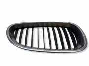 Gitter Grill vorne links BMW 5 Touring (E61) 520 d