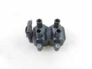 Zündspule RENAULT THALIA I (LB0/1/2_) 1.4 5DA193175391
