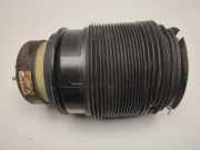 Stoßdämpfer links hinten Mercedes-Benz CLS (C218) A2123204325