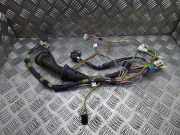 Kabel Tür Toyota Prius Liftback (W2)