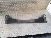 Grill Windlauf Ford Focus IV (HN) BM51A02216AE