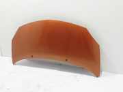 Motorhaube Renault Twingo II (CN0) 7751477649