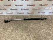 Heckklappe Gasdruckfeder links TOYOTA AVENSIS VERSO (_M2_) 2.0 D (CLM20_) 6896044080