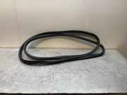 Türgummi rechts vorne BMW X5 (E70)