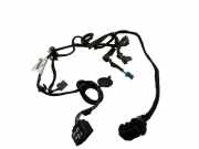 Türverkabelung hinten links VOLVO XC60 II (246) 2.0 D4 AWD 31318716 D31318716001