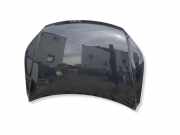 Motorhaube VW TIGUAN (5N_) 1.4 TSI