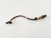 Sauerstoffsensor (Lambdasensor) RENAULT SCÉNIC III (JZ0/1_) 1.9 dCi (JM14) 8200437489