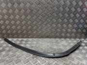 Kofferraumverkleidung MERCEDES-BENZ SLK (R172) 250 CDI / d (172.403) B3B189002
