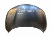 Motorhaube NISSAN QASHQAI II (J11, J11_) 1.2 DIG-T