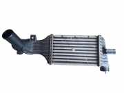 Ladeluftkühler OPEL ZAFIRA A (F75_) 2.0 OPC 24436438DF1