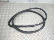 Türgummi rechts vorne Opel Insignia A Stufenheck (G09)