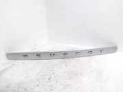 Kennzeichenbeleuchtung Verkleidung