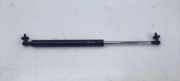 Heckklappe Gasdruckfeder links TOYOTA LAND CRUISER 100 (_J1_) 4.2 TD (HDJ100_)