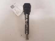 Zündspule AUDI A6 Allroad (4FH, C6) 3.2 FSI quattro 0221604115