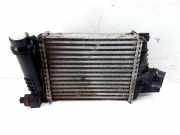 Ladeluftkühler RENAULT CLIO IV (BH_) 1.5 dCi 90 144961381R