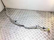 Einspritzleiste Land Rover Discovery II (L318) GJ329H334AH