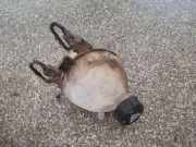 Ausgleichsbehälter CITROËN C3 Picasso 1.6 HDi