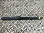 Stoßdämpfer hinten links TOYOTA YARIS (_P13_) 1.4 D-4D (NLP130_)