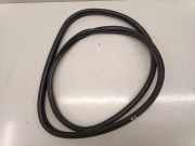 Türdichtung Mini Mini Countryman (F60)