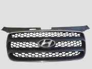 Vorderer oberer Gitter HYUNDAI SANTA FÉ II (CM) 2.2 CRDi 4x4 863532B000