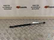 Heckklappe Gasdruckfeder rechts FORD ECOSPORT 1.5 TDCi CN15N400A12BA