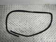 Türgummi links vorne Maserati Quattroporte VI ()