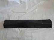 Zierleiste Citroen C3 II (SC)