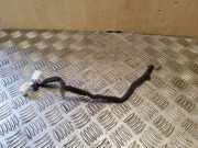 Kabelbaum Kia Rio (DC)