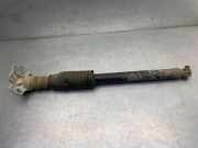 Stoßdämpfer hinten links