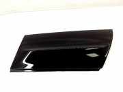 Schutzleiste Kotflügel Ford EcoSport () CN15N29149ADW