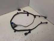 Kabelbaum Vorderen Parksensoren OPEL INSIGNIA A Estate (G09) 2.0 CDTI (35) 314043700