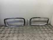 Vorderer oberer Gitter BMW 7 (E65, E66, E67) 730 d 8223219 7019029