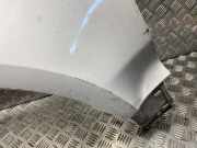 Kotflügel vorne links