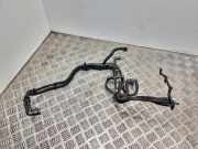 Kraftstoffschlauch Ford Focus IV (HN)