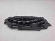 Gitter vorne unten LAND ROVER RANGE ROVER EVOQUE (L538) 2.0 D 4x4 GJ3215A299D