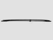 Dachreling links SEAT ALHAMBRA (7V8, 7V9) 2.0 TDI
