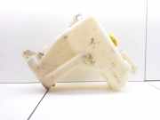 Ausgleichsbehälter NISSAN PRIMERA Hatchback (P12) 2.2 dCi 21710BM410