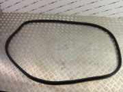 Türgummi rechts vorne BMW X3 (G01, F97) 7393423