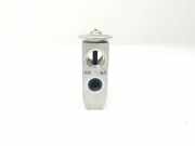 A/C Conditioner Expansion Valve NISSAN X-TRAIL (T31) 2.0 dCi