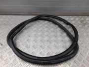 Dichtungsgummi der hinteren Tür (an der Karosserie) AUDI A8 D2 (4D2, 4D8) S8 quattro 4H4833721F