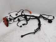 Kabel Motor Renault Zoe (BFM) 240115252R