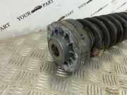 Stoßdämpfer links hinten BMW X3 (F25) 6796317