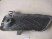 Gitter vorne unten BMW X3 (F25) xDrive 28 i 51117249596