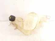 Ausgleichsbehälter RENAULT LAGUNA Coupe (DT0/1) 2.0 dCi (DT01, DT09, DT12, DT1D) 217100014R