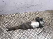 Pneumo-Stoßdämpfer hinten links BENTLEY CONTINENTAL FLYING SPUR (3W_) 6.0 3W5616001B