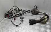 Kabel der vorderen linken Tür LAND ROVER RANGE ROVER SPORT (L320) 3.0 D 4x4 CH3214631AHC